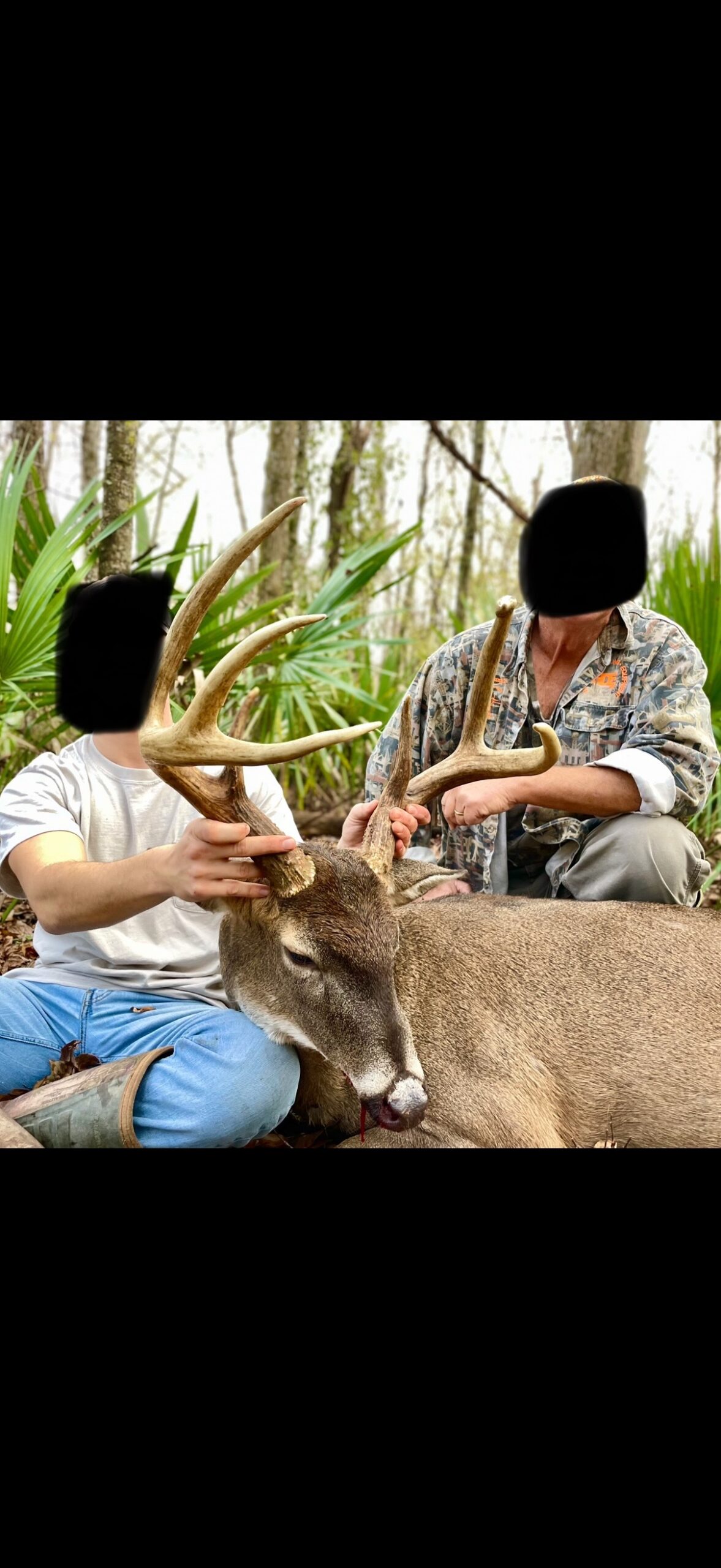 330+/- Acre Deer and Duck Hunting Property with a Camp