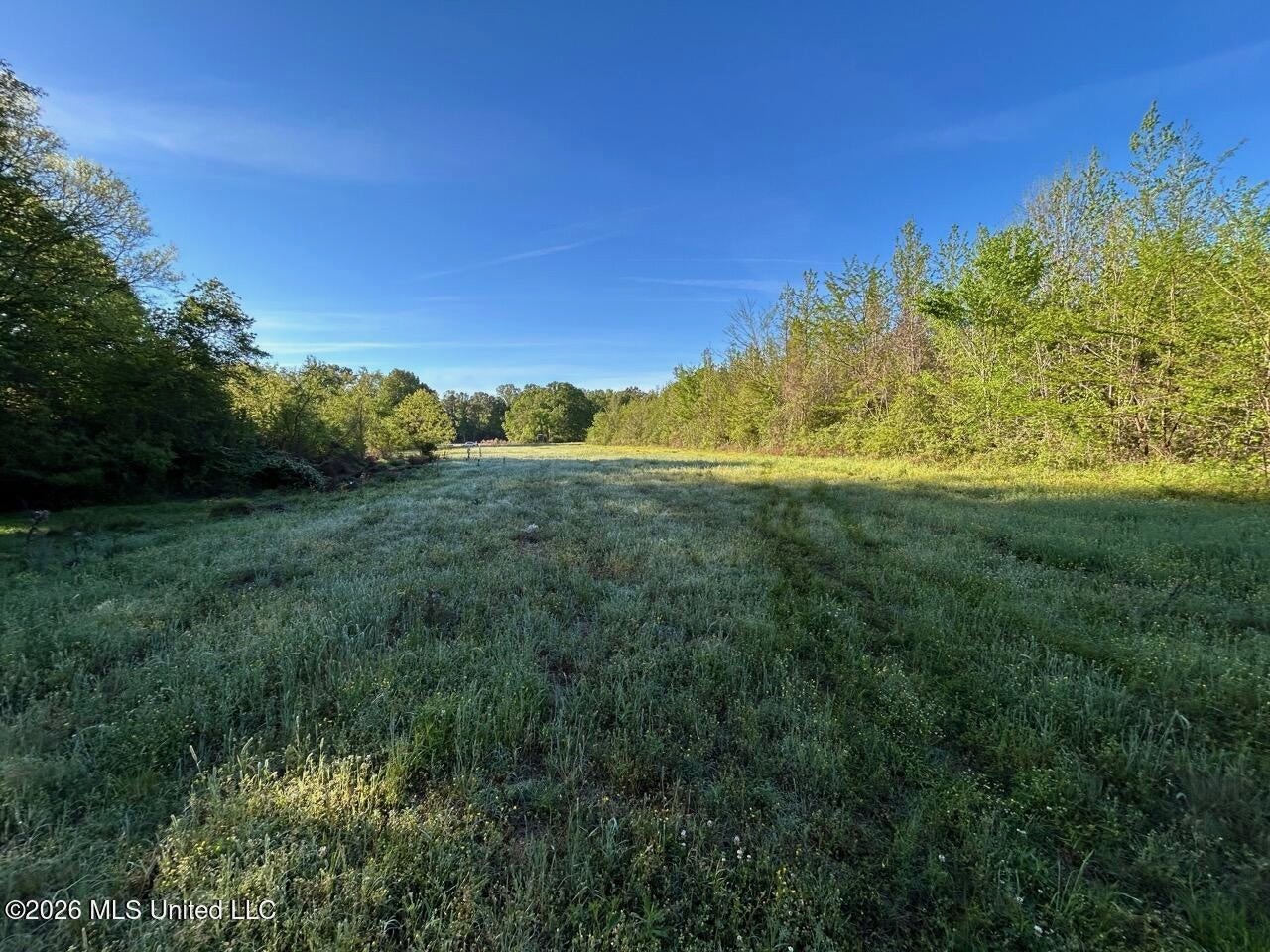 266± Acres Hinds/Copiah Line with Creek and Income