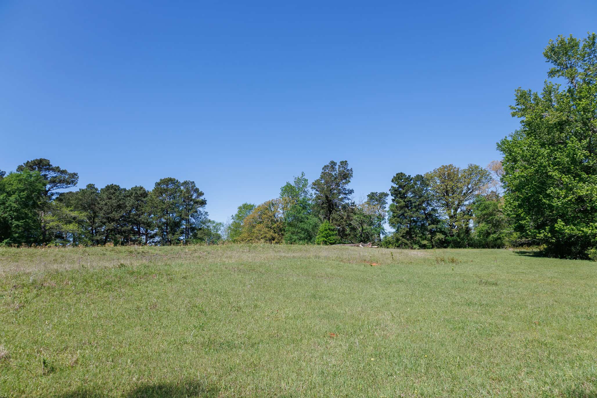 31.74 Acre Recreational Ranch Near Bullard in Smith County TX