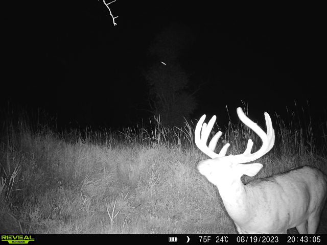 44± Acre Premier Duck and Deer Hunting Property Marquette Cty WI