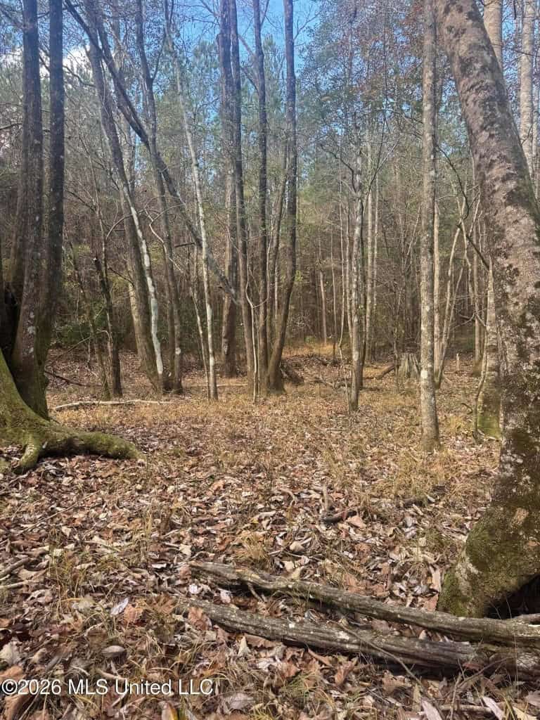South Mississippi Hunting Land for Sale in Walthall County