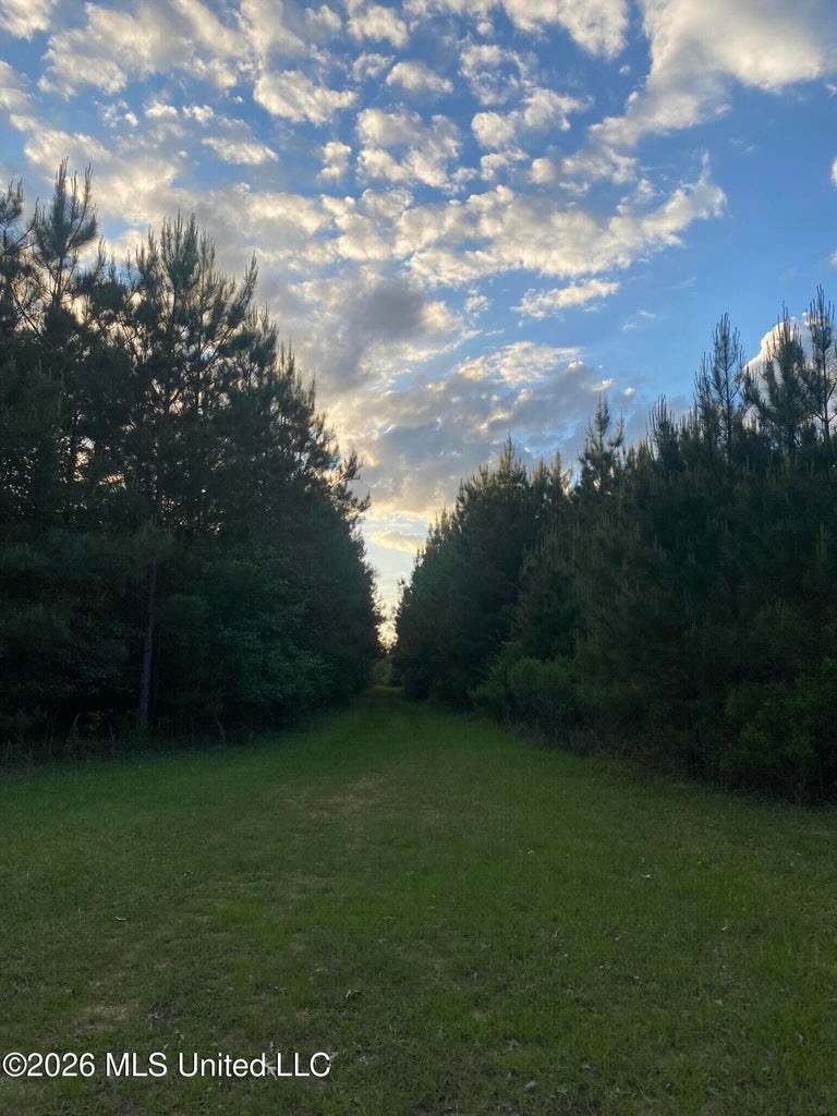 Hunting and Recreational Land for Sale in Amite County, Miss