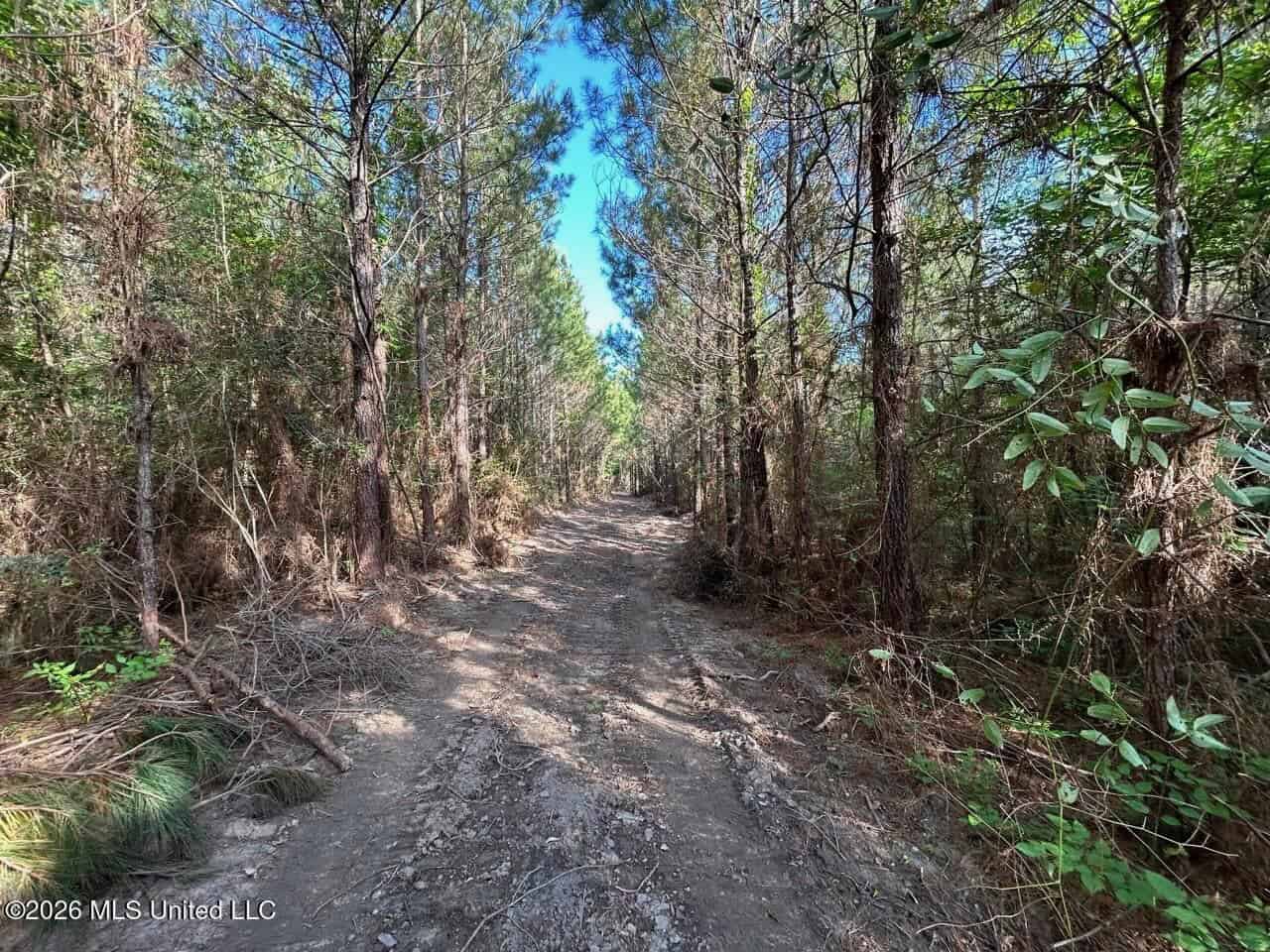 46 Acres in St. Helena Parish, LA Hunting Property for Sale