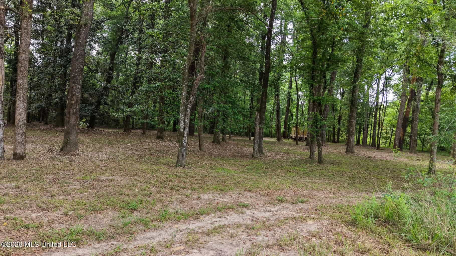 23 Acres of Riverfront Property with Sand Bar and Cabins
