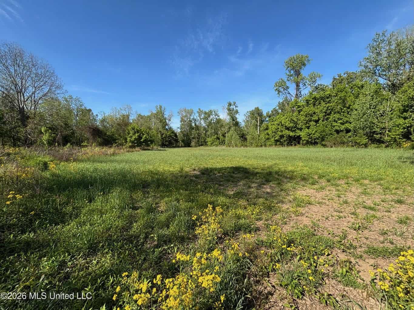 Duckport Legacy Waterfowl and Whitetail Recreational Tract