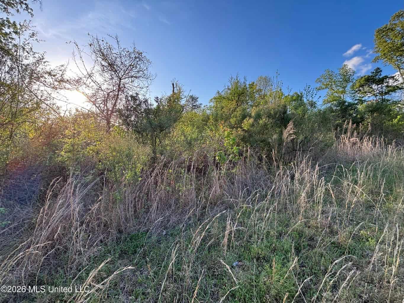 77 Acres in Edwards, MS Hinds County Big Black River Region