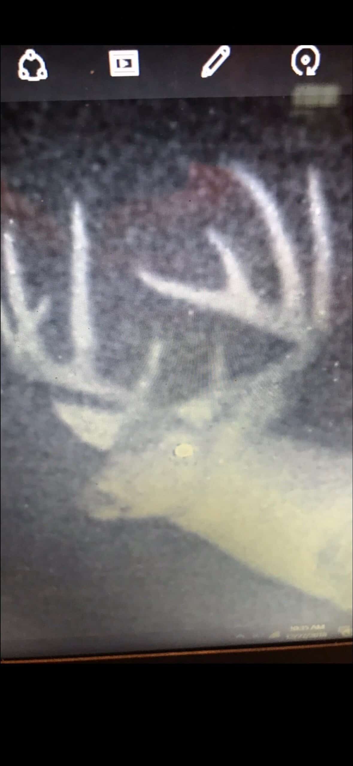 Tensas Parish Duck and Deer Hunting Property