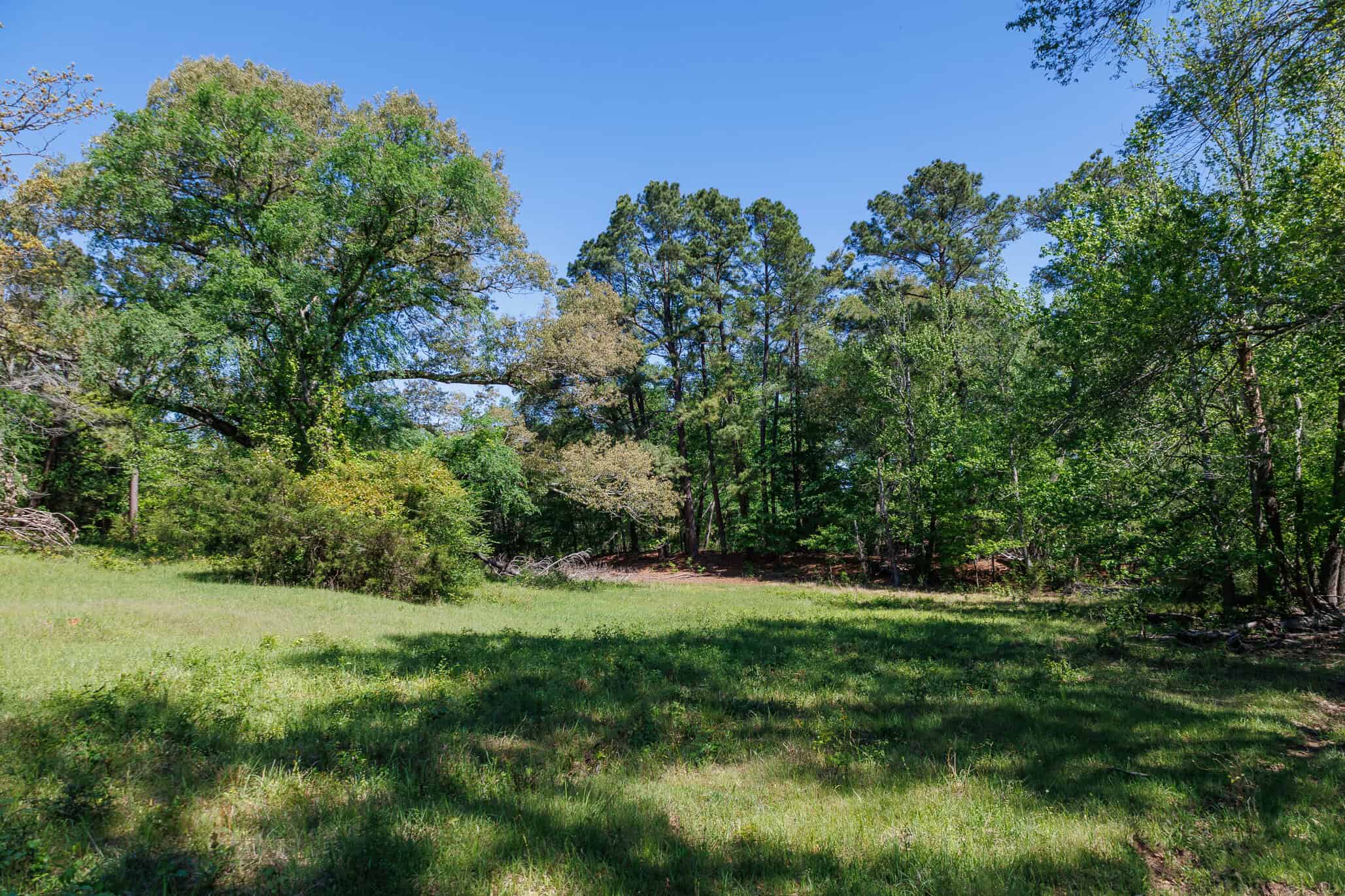 31.74 Acre Recreational Ranch Near Bullard in Smith County TX
