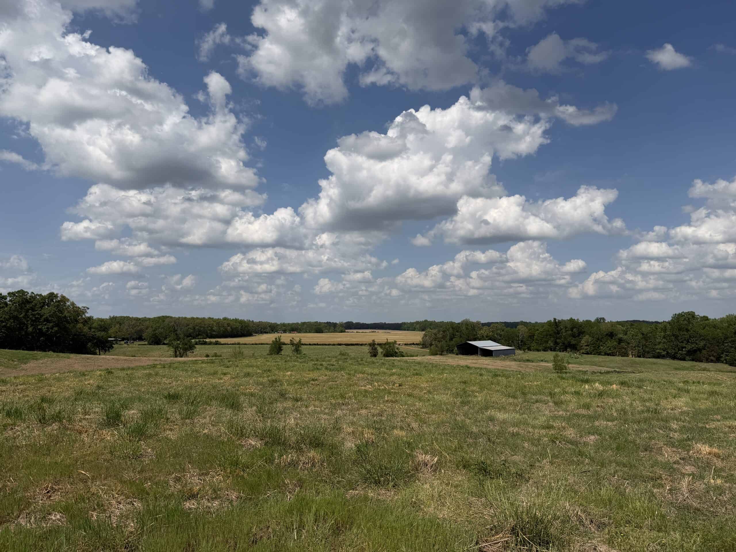 PASTURELAND FOR SALE IN TN, BIG HAY BARN, BRANCH, FENCING
