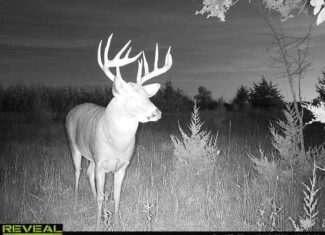 44± Acre Premier Duck and Deer Hunting Property Marquette Cty WI