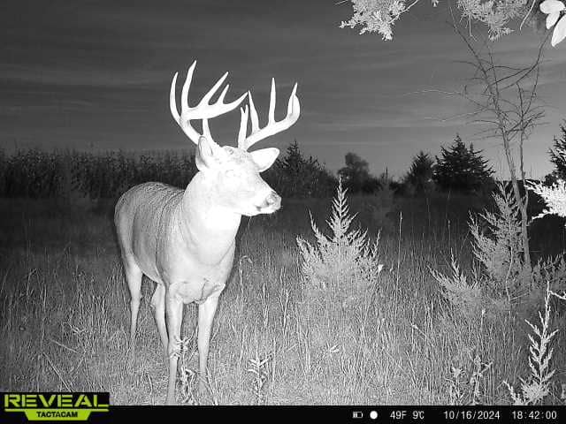 44± Acre Premier Duck and Deer Hunting Property Marquette Cty WI