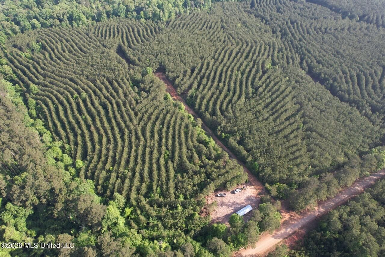 46 Acres in St. Helena Parish, LA Hunting Property for Sale