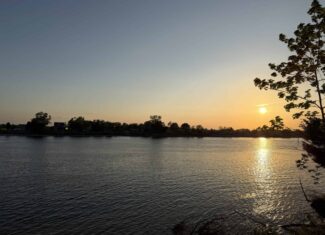 RIVERFRONT LEGACY FARM | 700 ACRES ± | LAND FOR SALE IN TN