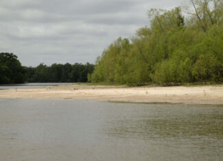 385 Acres Pearl River Frontage Louisiana