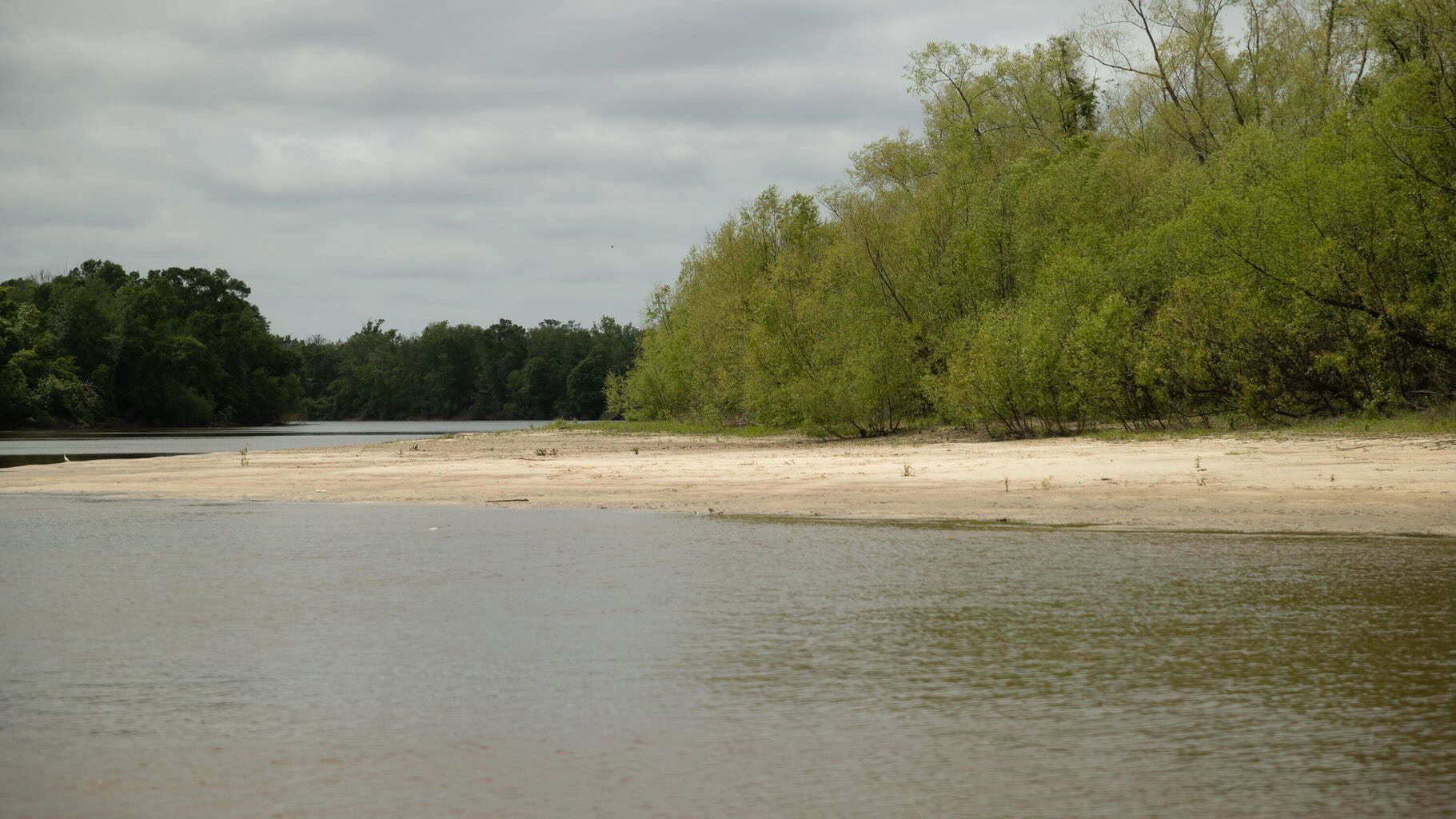 385 Acres Pearl River Frontage Louisiana