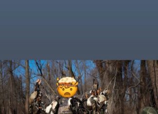 Duckport Legacy Waterfowl and Whitetail Recreational Tract