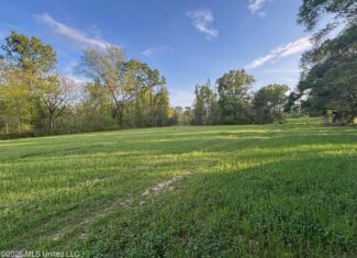 77 Acres in Edwards, MS Hinds County Big Black River Region