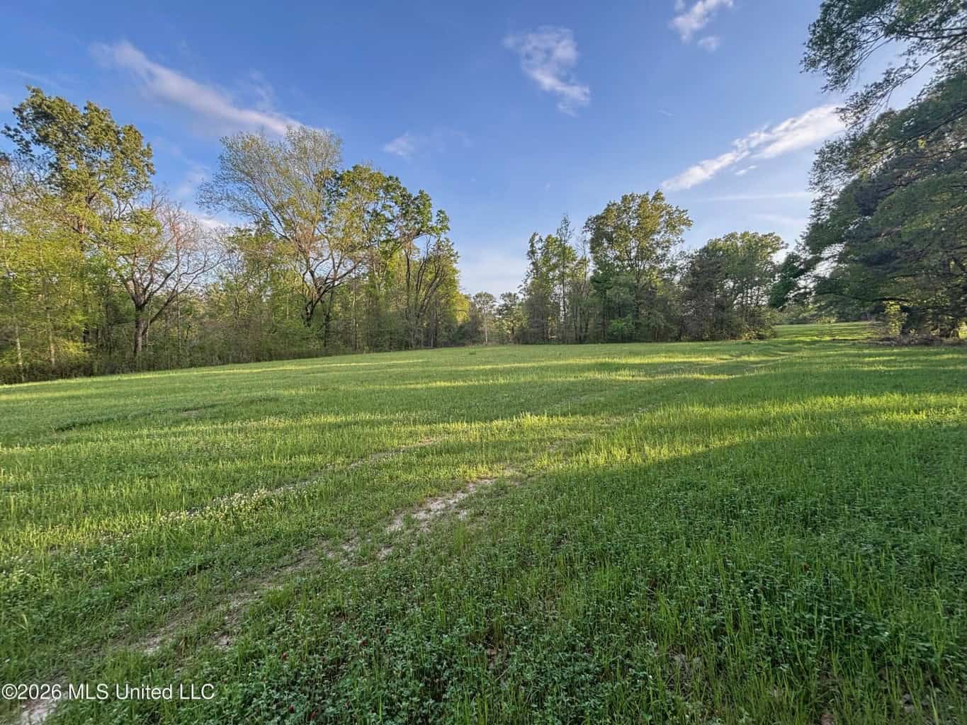 77 Acres in Edwards, MS Hinds County Big Black River Region