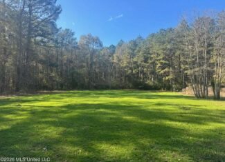 South Mississippi Hunting Land for Sale in Walthall County