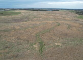 Southwest Iowa Income Producing Combination Farm