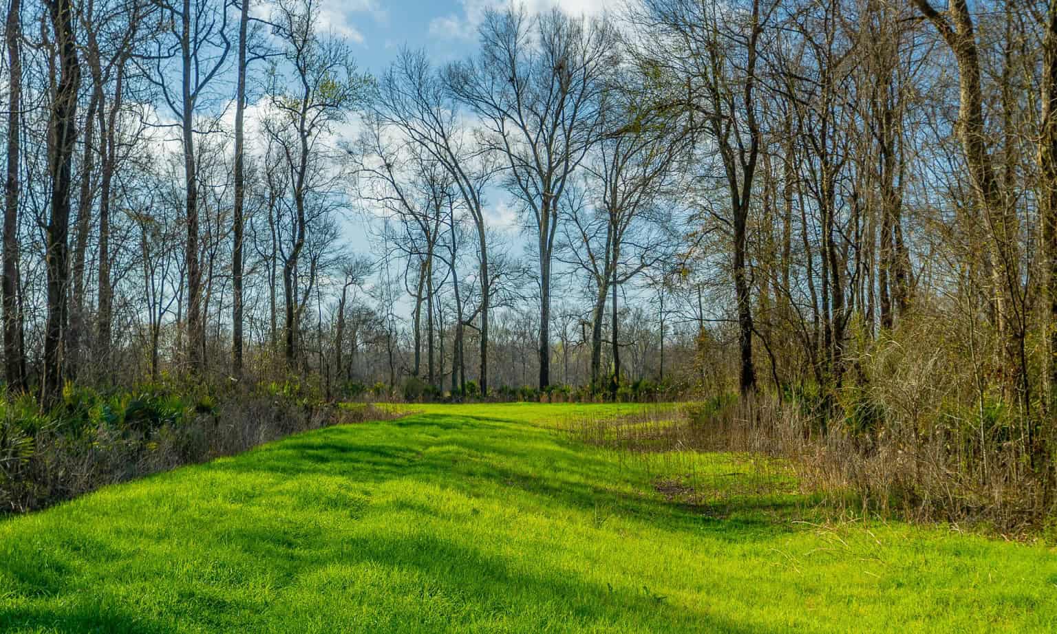 1,196+/- Acre Deer & Duck Hunting Paradise Tensas Parish, LA