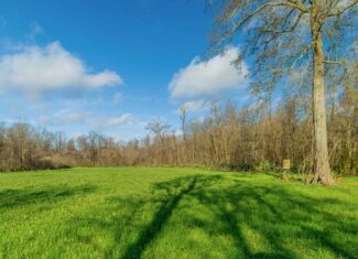 Tensas Parish Duck and Deer Hunting Property