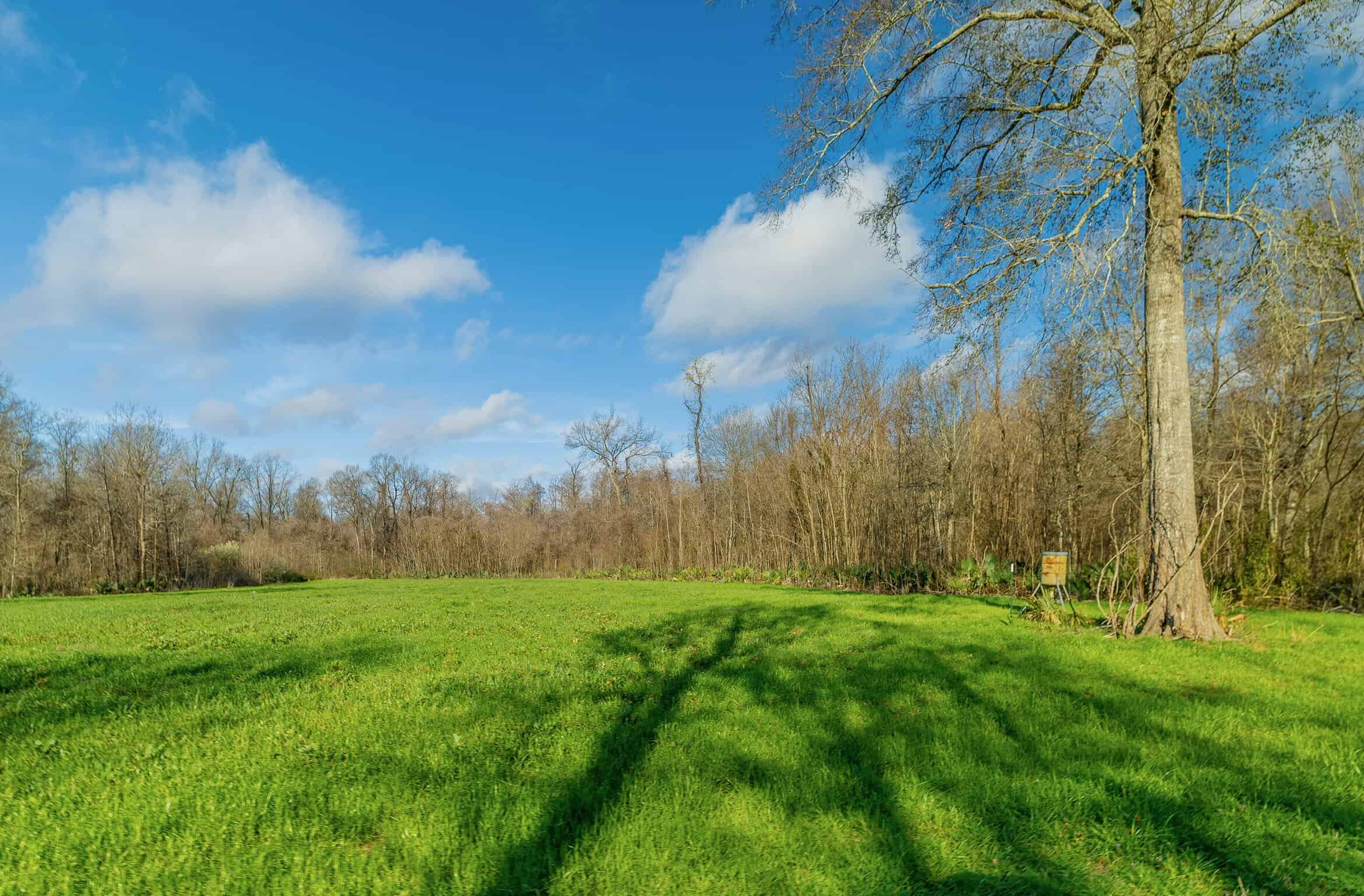 Tensas Parish Duck and Deer Hunting Property