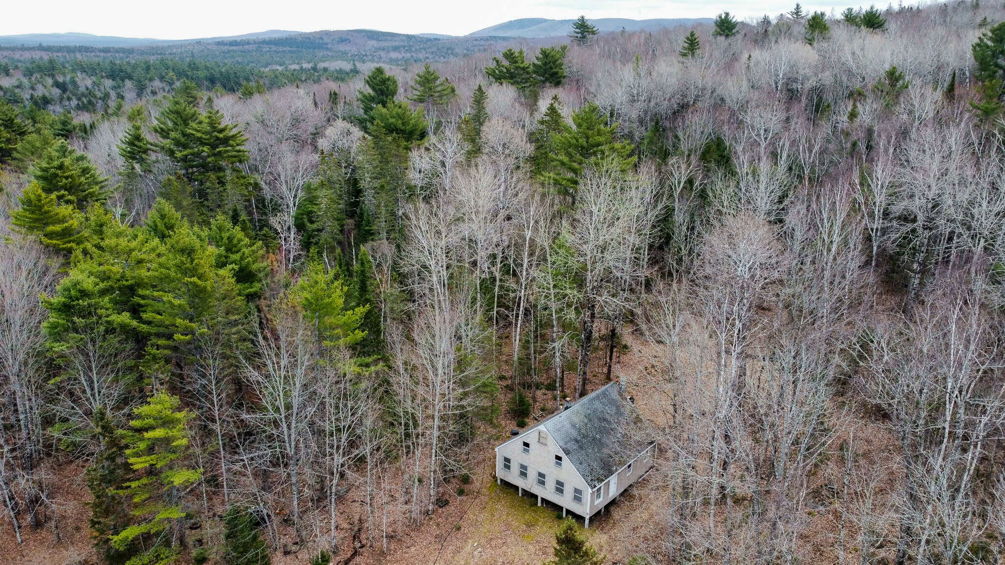 Cozy Cabin on 20 Acres: A Hunter’s Paradise and Family Retreat