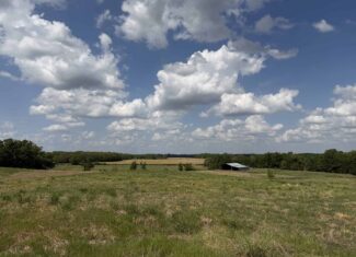 HOBBY FARM FOR SALE IN TN. AMAZING BUILDING SITES WITH VIEWS AND DEER HUNTING LAND FOR SALE IN TENNESSEE.