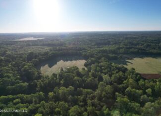 266± Acres Hinds/Copiah Line with Creek and Income