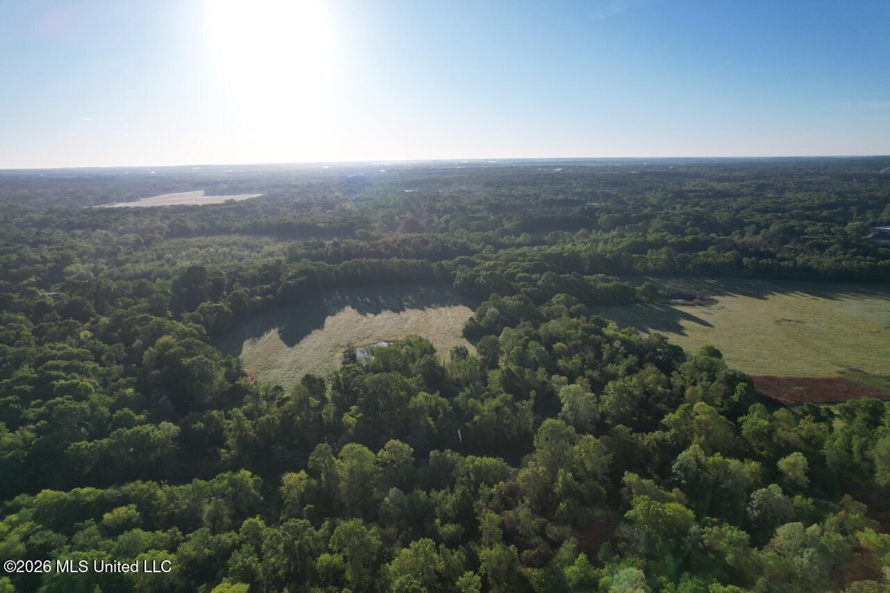266± Acres Hinds/Copiah Line with Creek and Income
