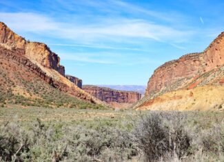 Acreage for Sale Gateway, Colorado