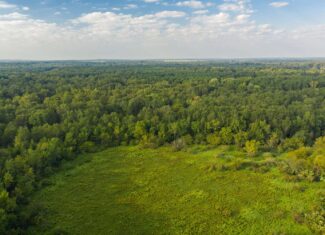 863-Acre Hunting Ranch on the Sabine River near Big Sandy TX