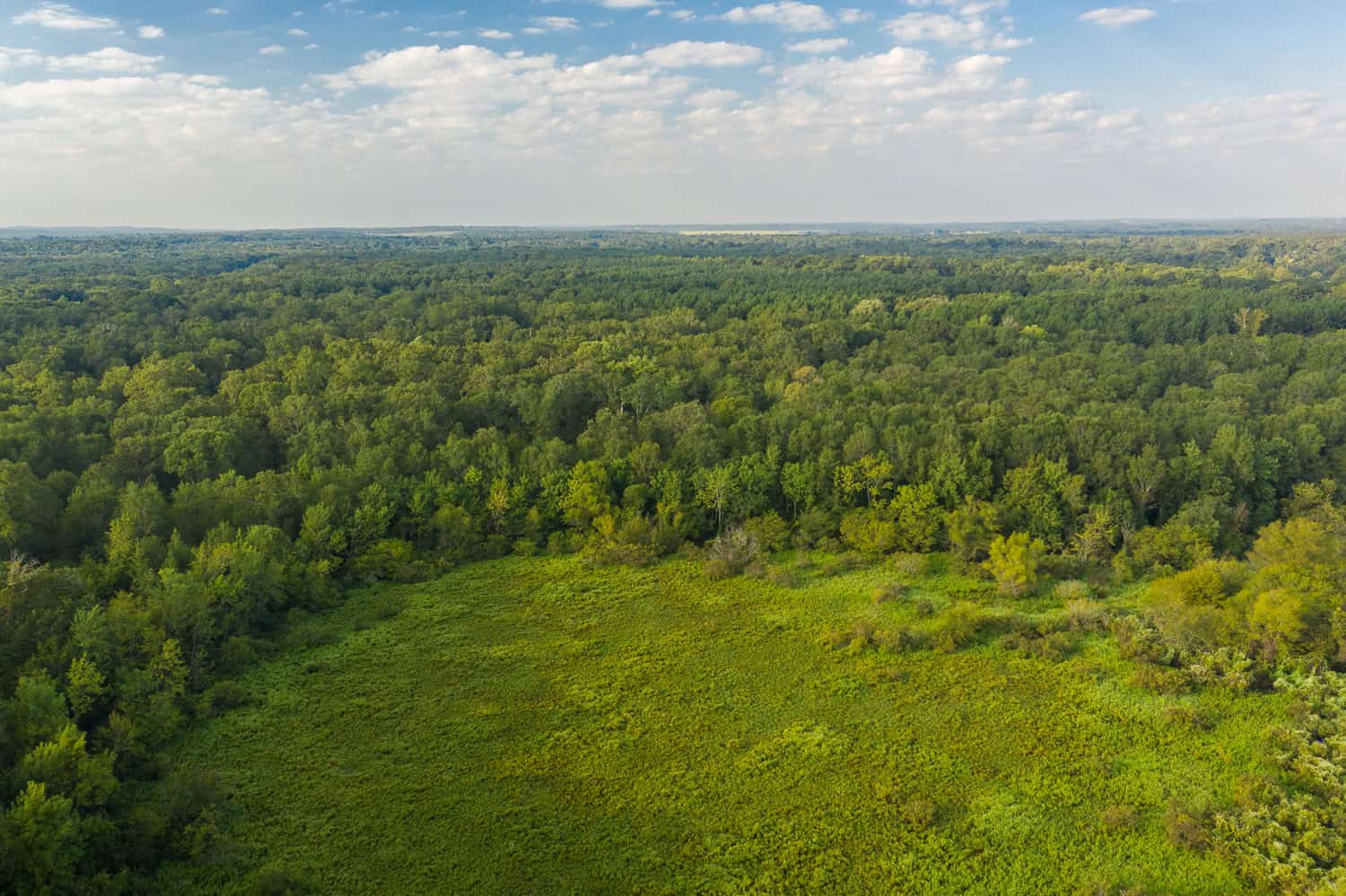 863-Acre Hunting Ranch on the Sabine River near Big Sandy TX