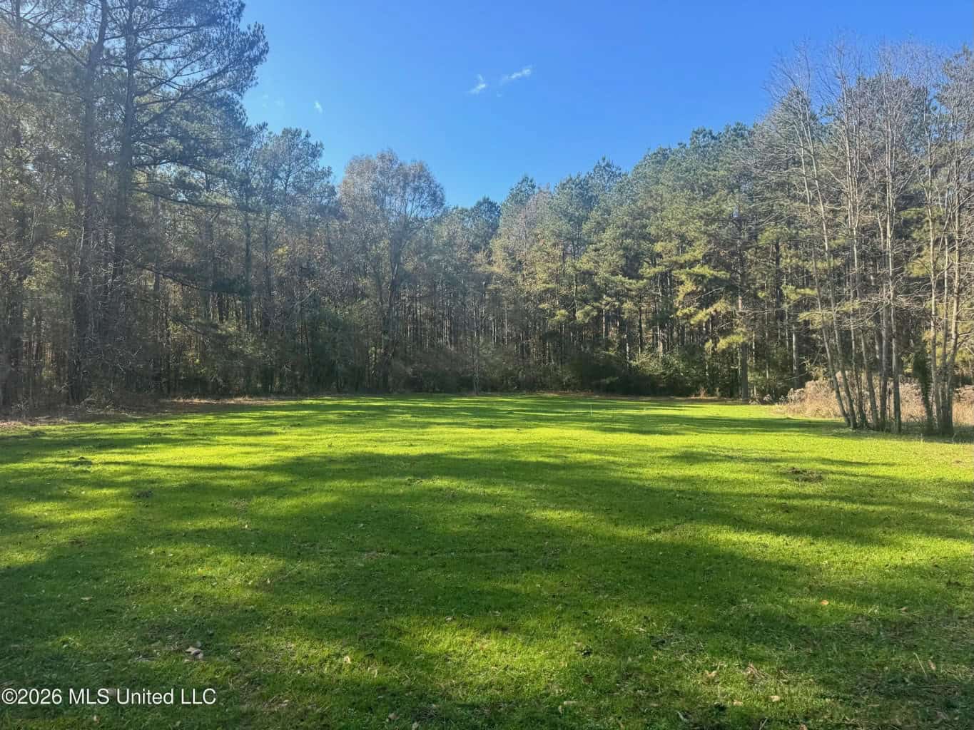 South Mississippi Hunting Land for Sale in Walthall County
