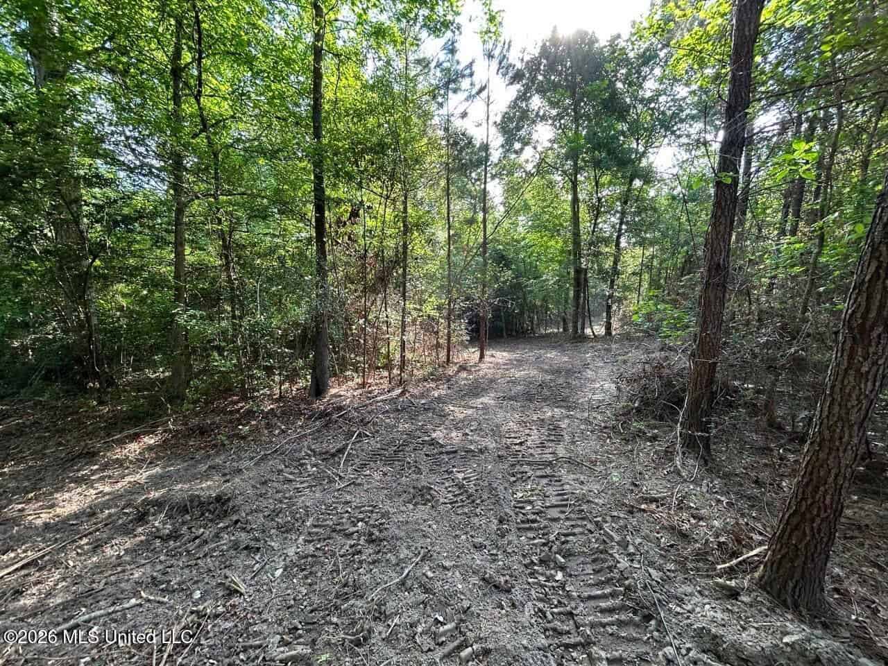 46 Acres in St. Helena Parish, LA Hunting Property for Sale