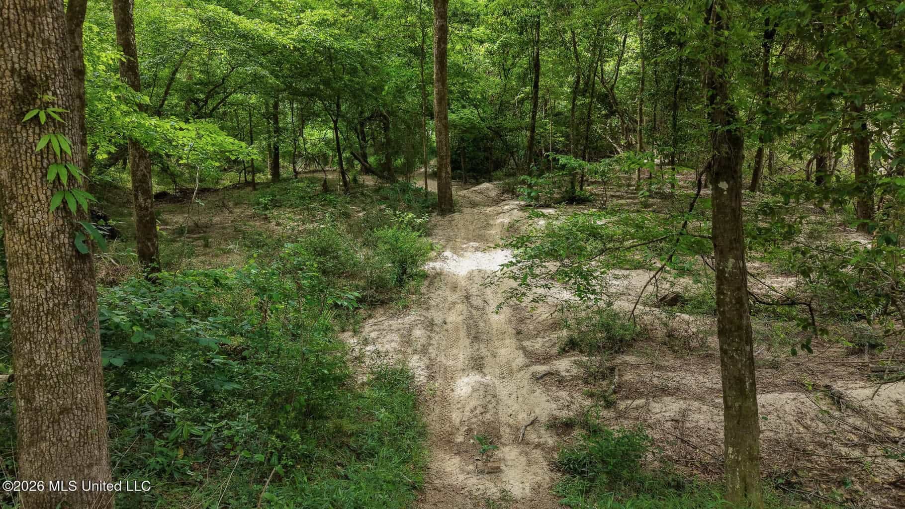 23 Acres of Riverfront Property with Sand Bar and Cabins