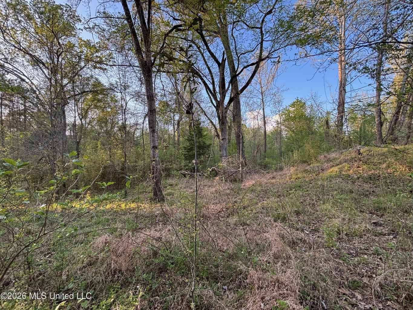77 Acres in Edwards, MS Hinds County Big Black River Region