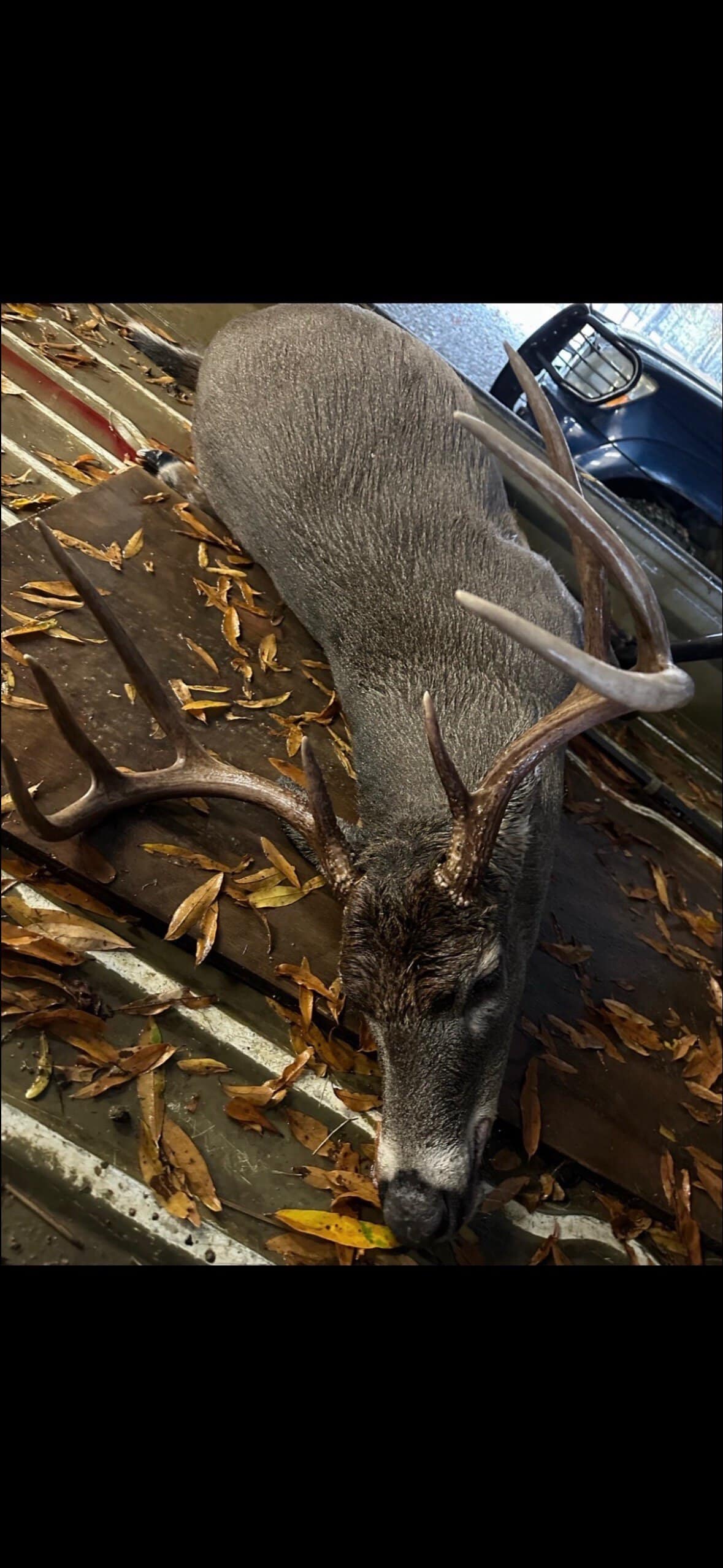 Tensas Parish Duck and Deer Hunting Property