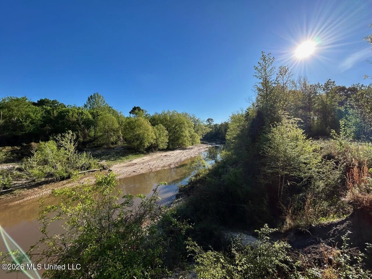 266± Acres Hinds/Copiah Line with Creek and Income