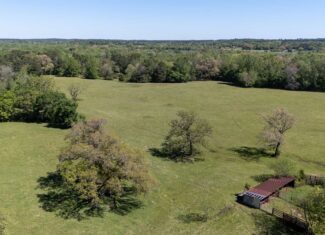 31.74 Acre Recreational Ranch Near Bullard in Smith County TX