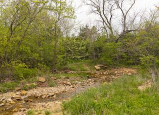 000 Crooked Creek Road, Hartville, MO 65667