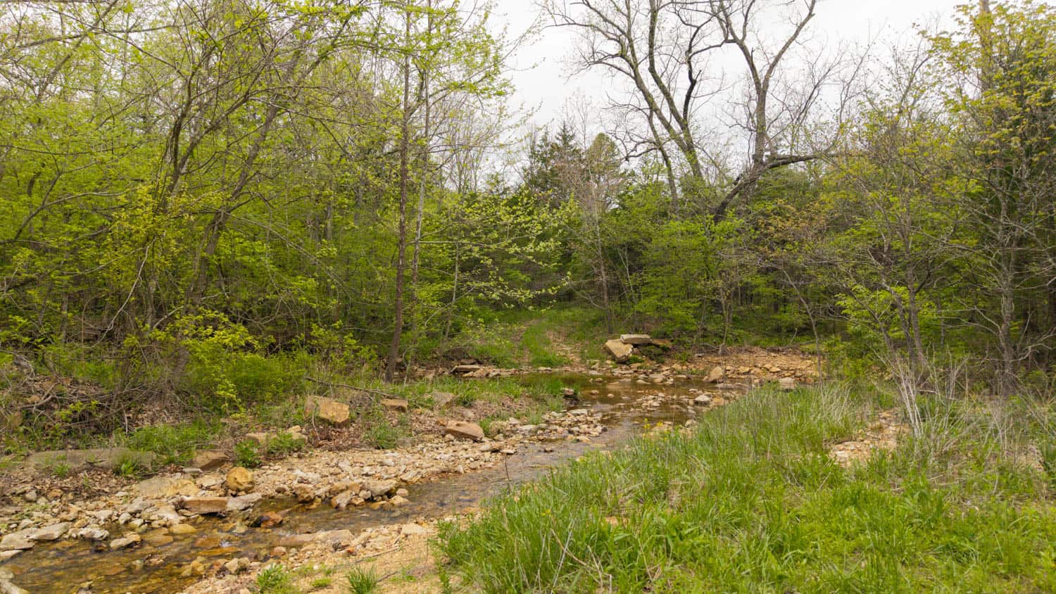 000 Crooked Creek Road, Hartville, MO 65667