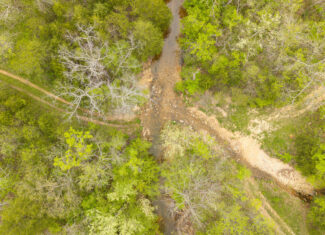 000 Crooked Creek Road, Hartville, MO 65667