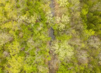 000 Crooked Creek Road, Hartville, MO 65667