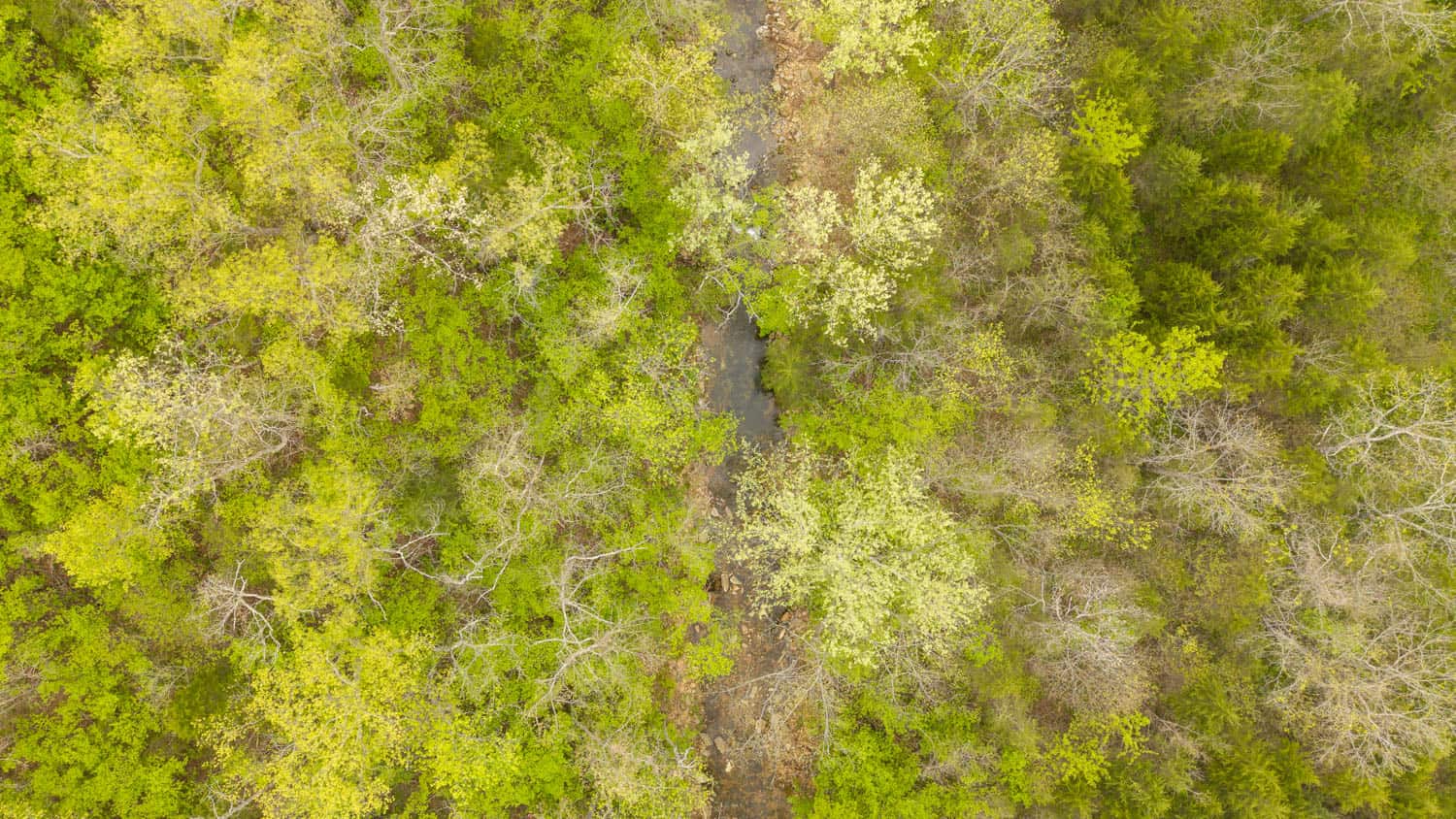 000 Crooked Creek Road, Hartville, MO 65667
