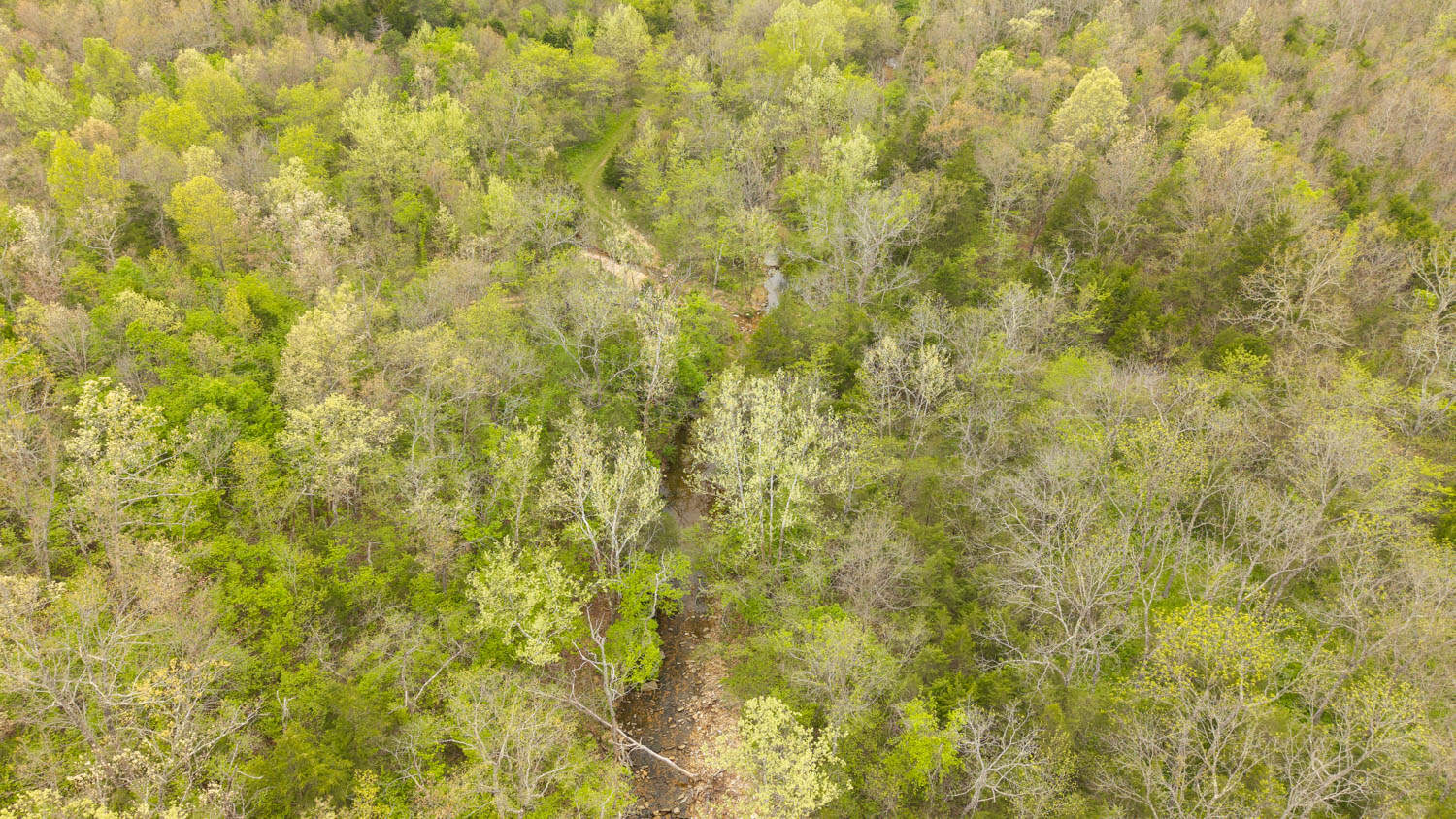000 Crooked Creek Road, Hartville, MO 65667