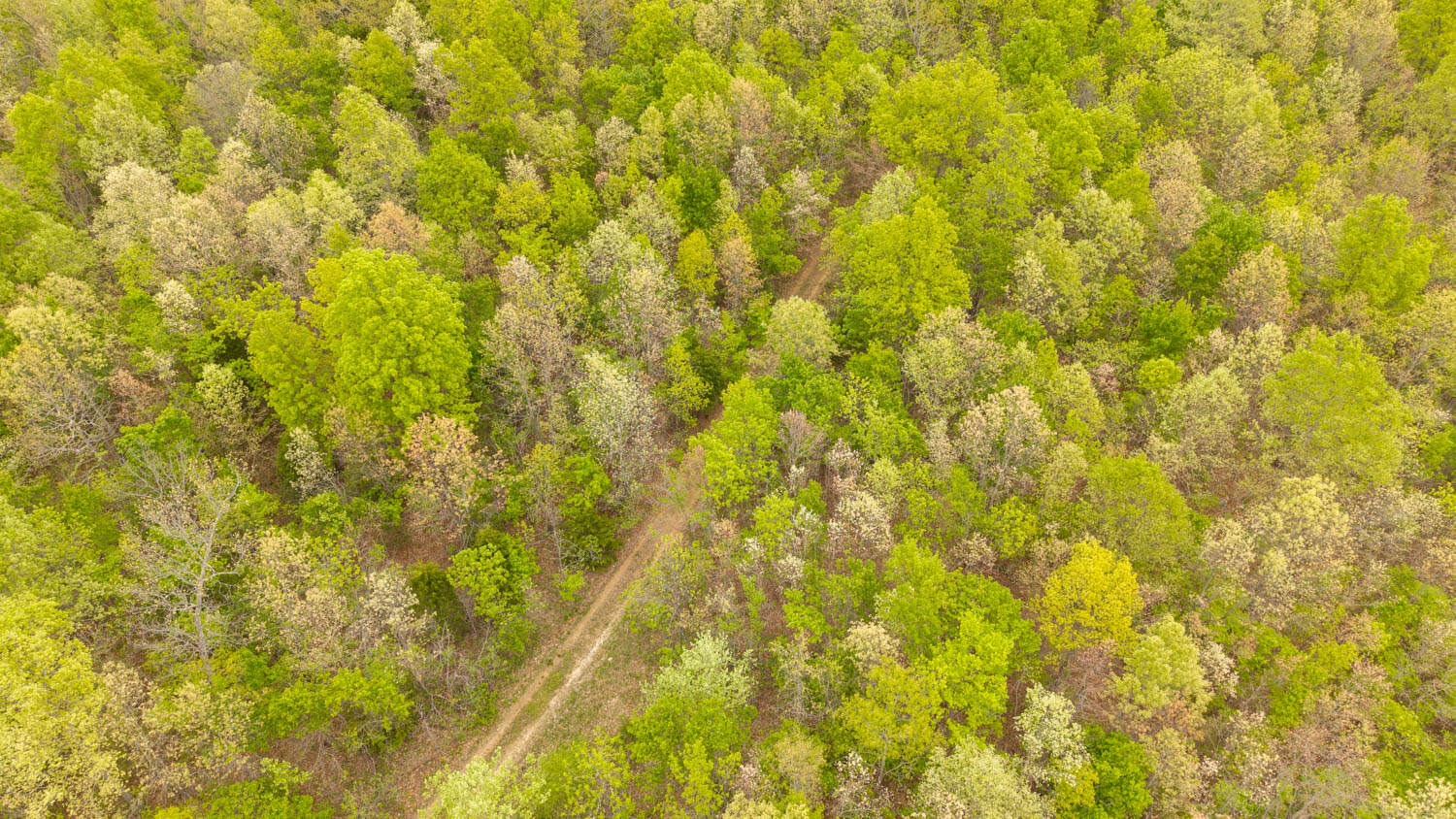 000 Crooked Creek Road, Hartville, MO 65667