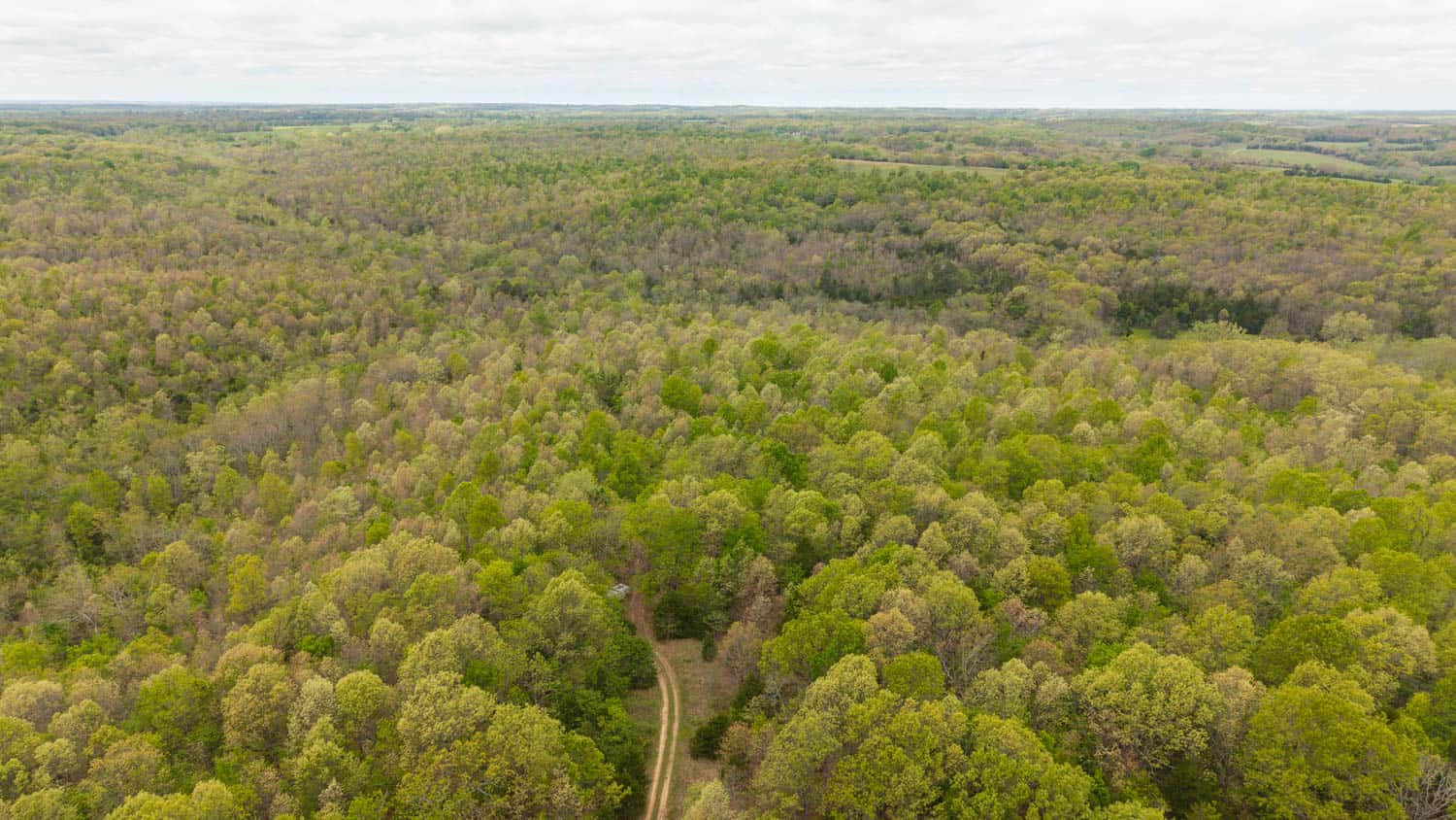 000 Crooked Creek Road, Hartville, MO 65667
