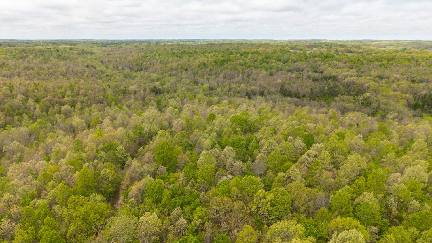 000 Crooked Creek Road, Hartville, MO 65667